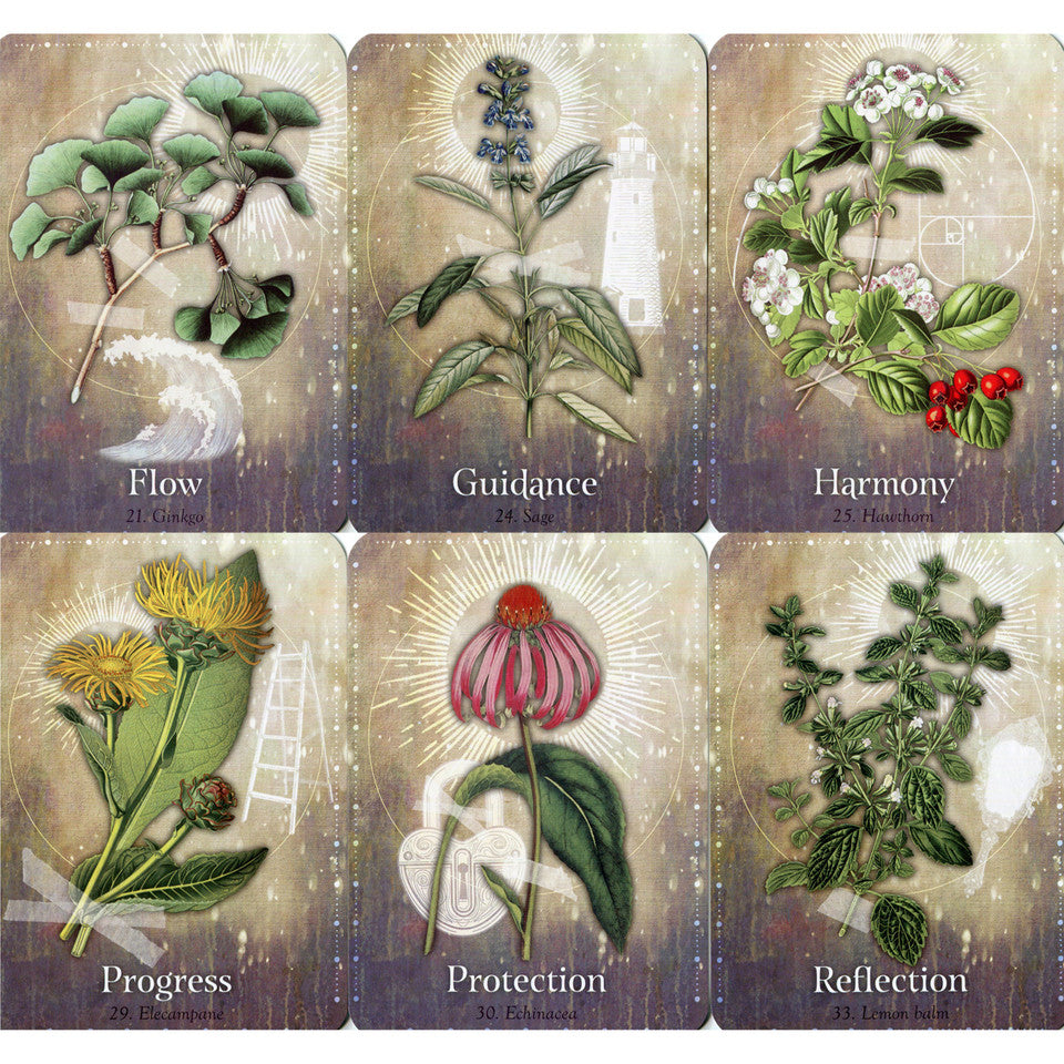 Magickal Herb Oracle - Cheralyn Darcey – Kailash